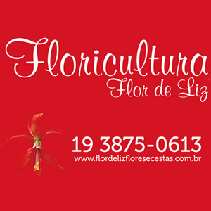FLOR DE LIZ - FLORICULTURA - JD. CALIFÓRNIA
