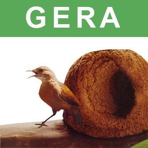 Gera - Administração  Arquitetura Construção Projetos