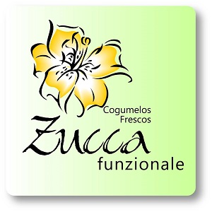 FIORI DI ZUCCA Cogumelos