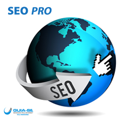 SEO Pro